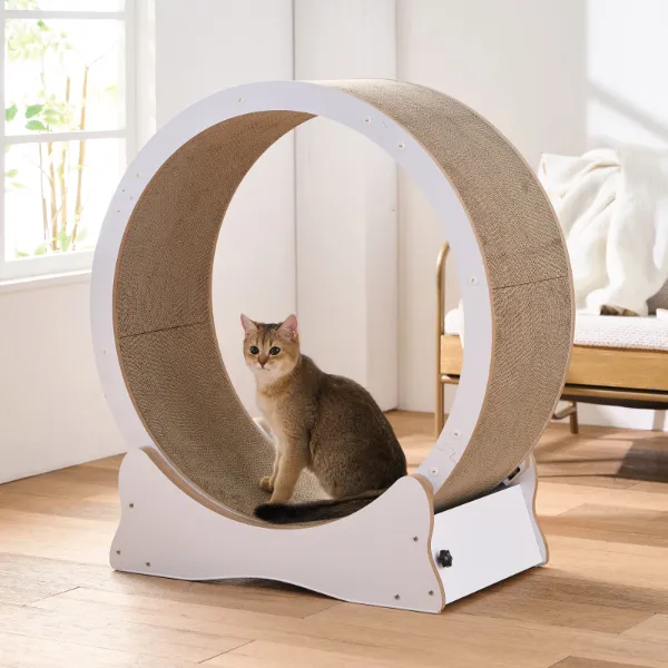 ねこまる Amazon.co.jp: 猫壱(necoichi)バリバリボウル ライトブラウン