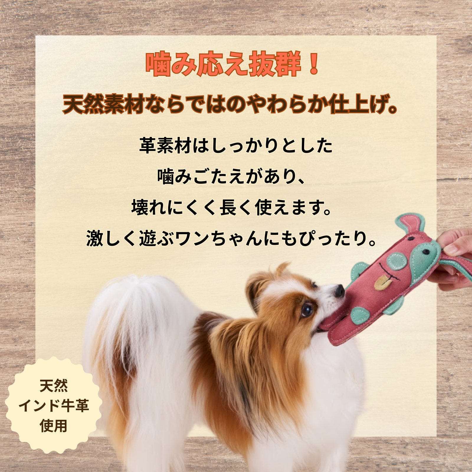 カムカムレザートーイ-株式会社ボンビアルコン