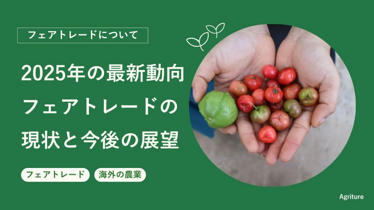 フェアトレードとは？2025年最新動向と今後の展望 ｜規格外野菜をアップサイクル