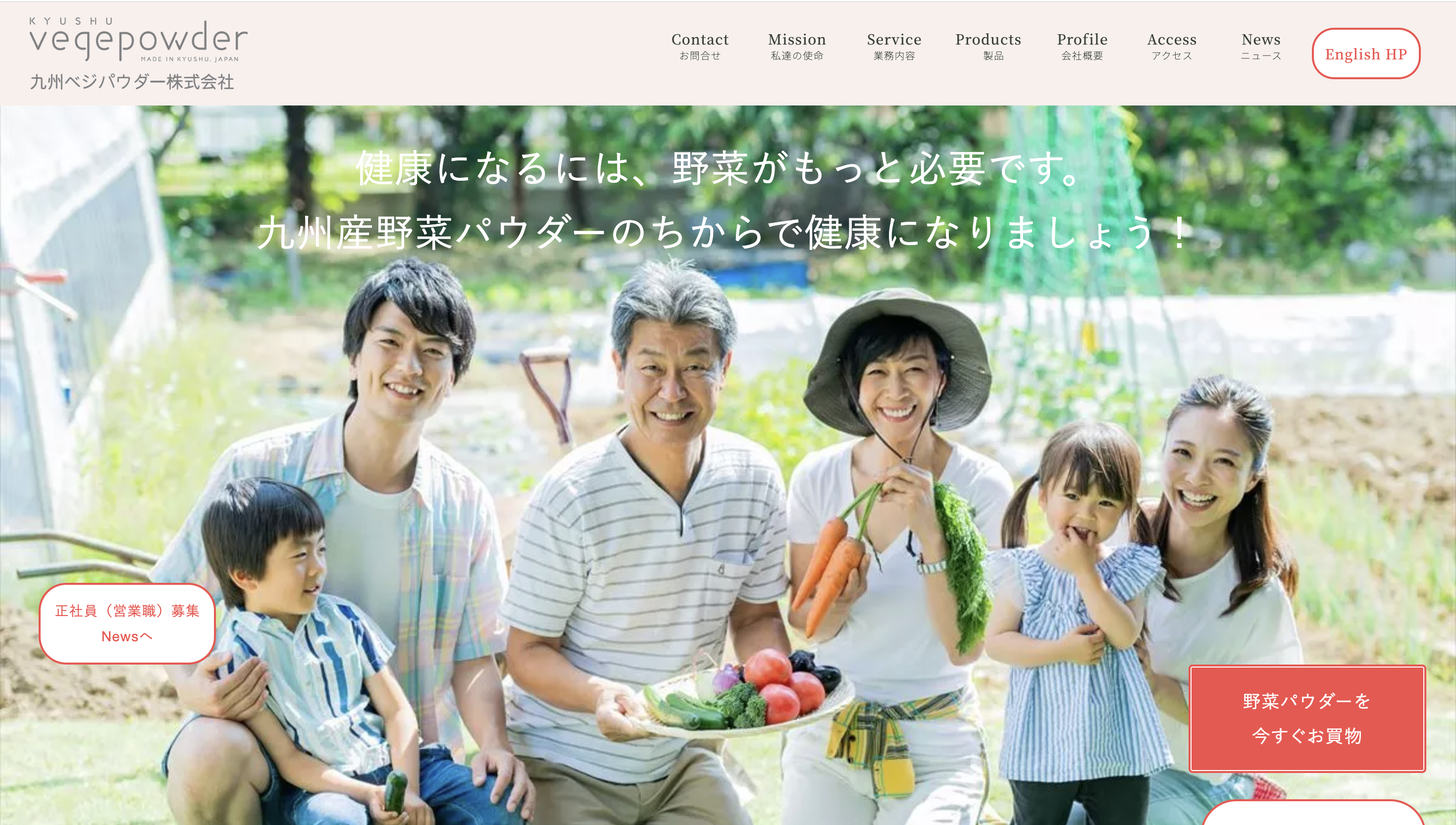 九州ベジパウダー