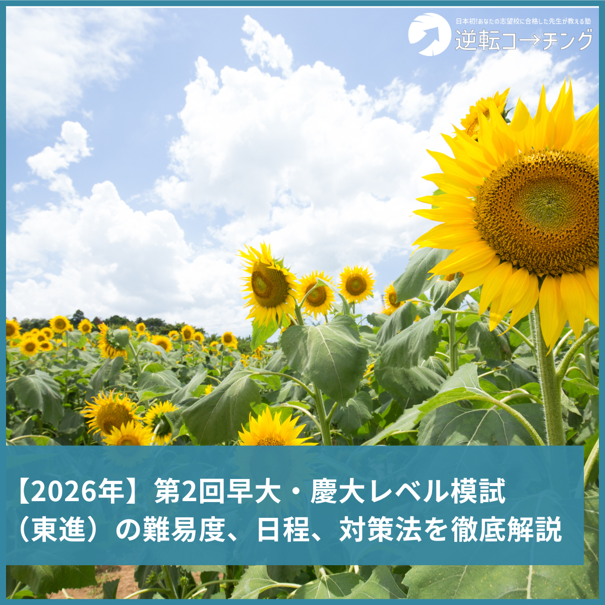 東進 2025年度 第2回 早大・慶大レベル模試（慶大） 2025年度東進模試年間スケジュール