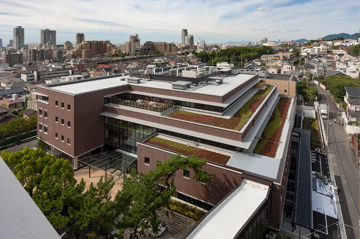 赤本 2022 2019 甲南 龍谷 京都産業 神戸学院 近畿大学 追手門 追手門学院大学 (2022年版大学入試シリーズ) | 教学社編集部 |本