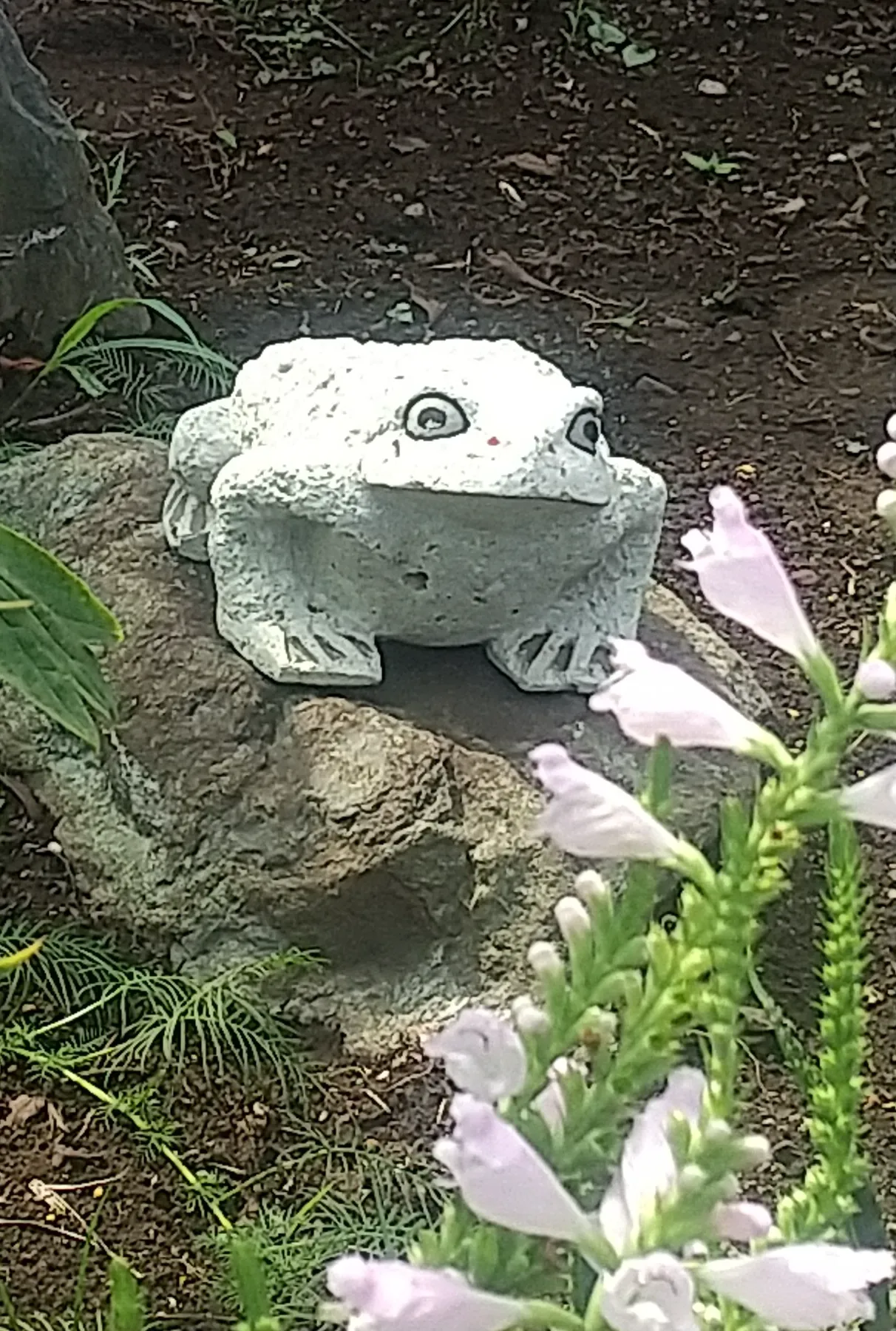 お知らせ 詳細 | 大谷コネクト