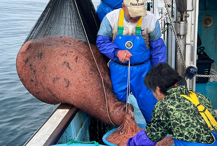 富山湾の”宝石” 白えびアップサイクル秘話 | Upcycle by Oisix