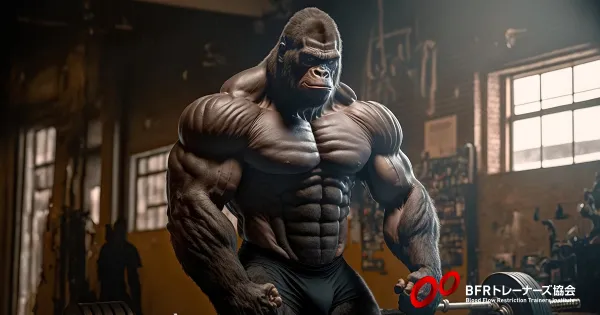 BFRトレーニングをもっと知ろう！ Part9　BFRトレーニングで筋力が増える