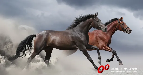 BFRはスピードを向上させる?