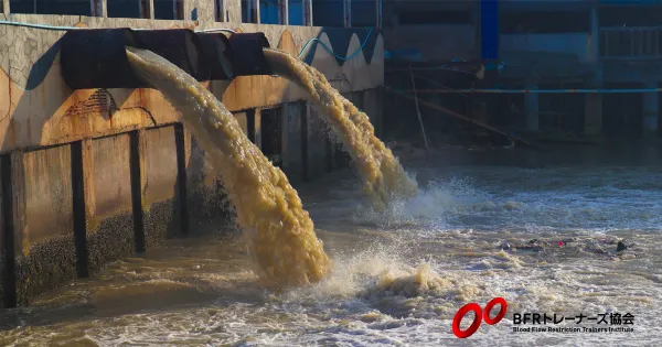 筋肉を増やす栄養は? Part2 重金属を排除する栄養素