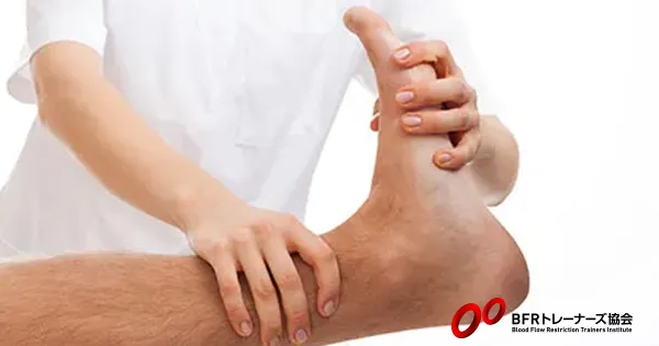 回復を早め、関節を保護するMSM