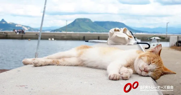 疲れを取る栄養は？　Part3