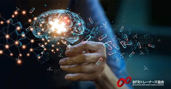 BFRトレーニングは神経系の発達を引き起こす？