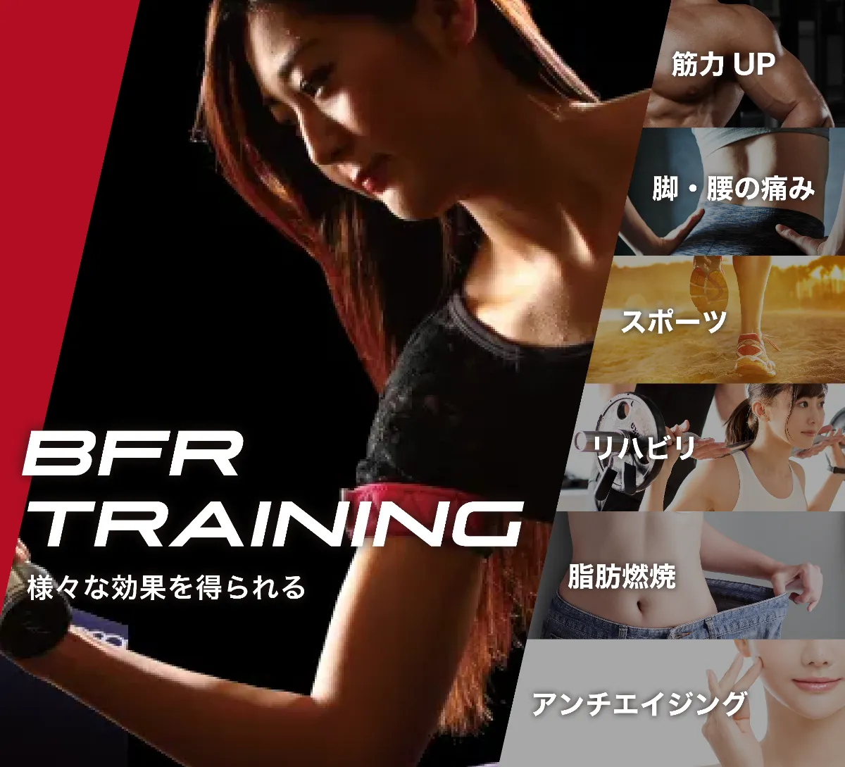 BFR トレーニングシステム 血流制限バンド・加圧バンド 上肢と下肢のフルセット BFR トレーニングシステム 血流制限バンド・加圧バンド 上肢と下肢の