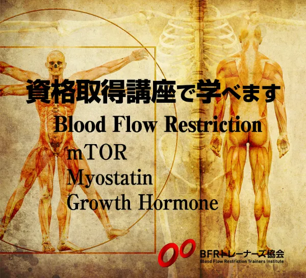 加圧BFRトレーニングを学べます