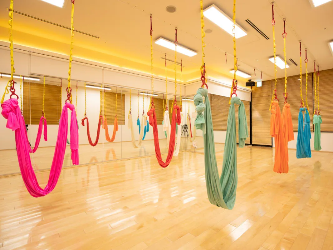 女性に大人気！「エアリアルヨガ・シルクサスペンション」とは