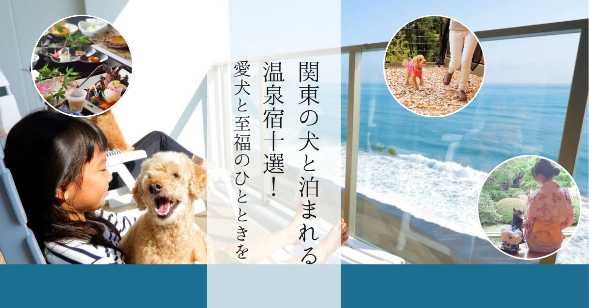 ペットと泊まる温泉宿: 愛犬と一緒のドライブ旅行 関東周辺 関東】ペットと泊まれる温泉宿10選｜愛犬と過ごす癒やしの旅