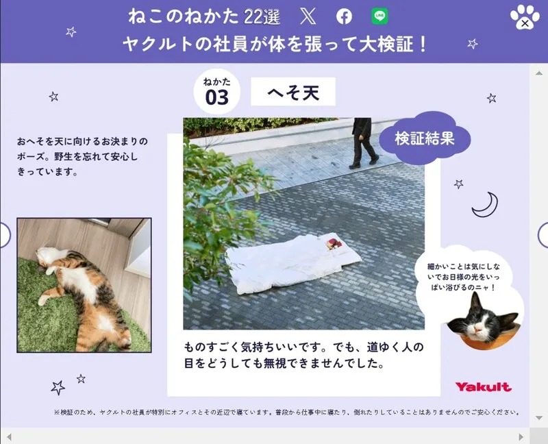 デイリー猫首輪10ミリ幅 ミラクル眩しいハートシリーズ ピンク