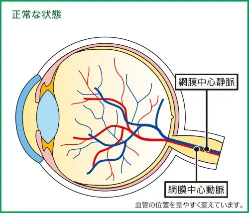診療案内｜津田眼科｜川崎市麻生区千代ヶ丘（新百合ヶ丘）の眼科