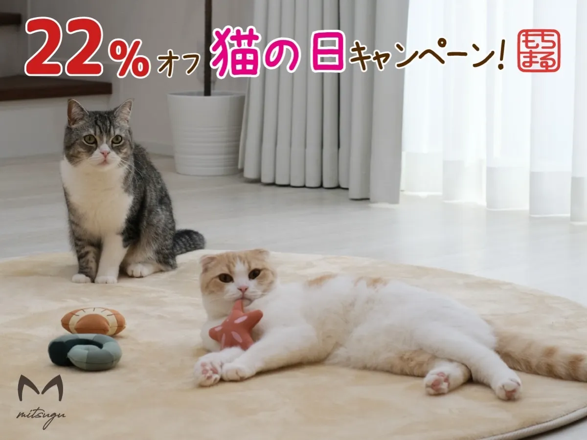 もちまる日記 公式ホームページ