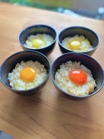 表参道に卵かけご飯専門店『たまごぐらし』が5月12日オープン