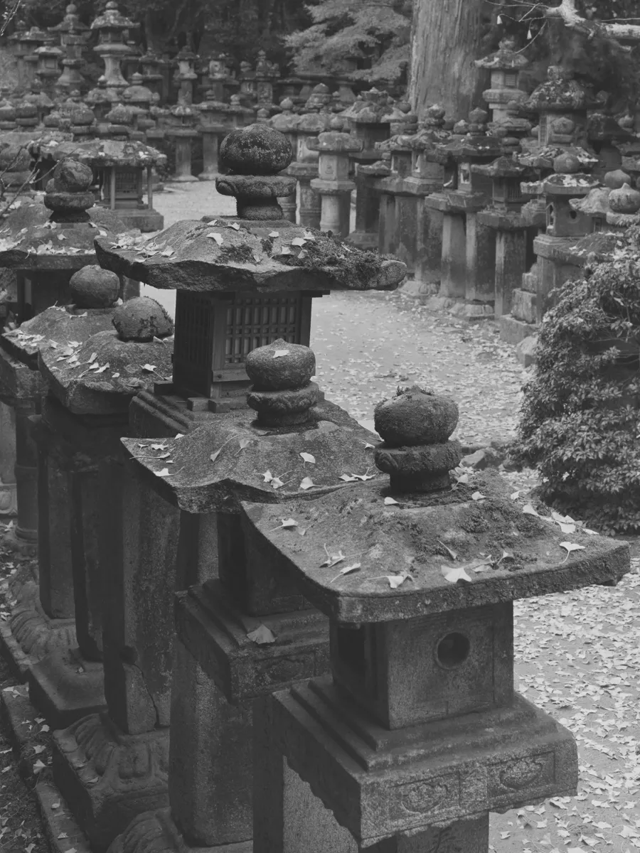 入江泰吉記念奈良市写真美術館