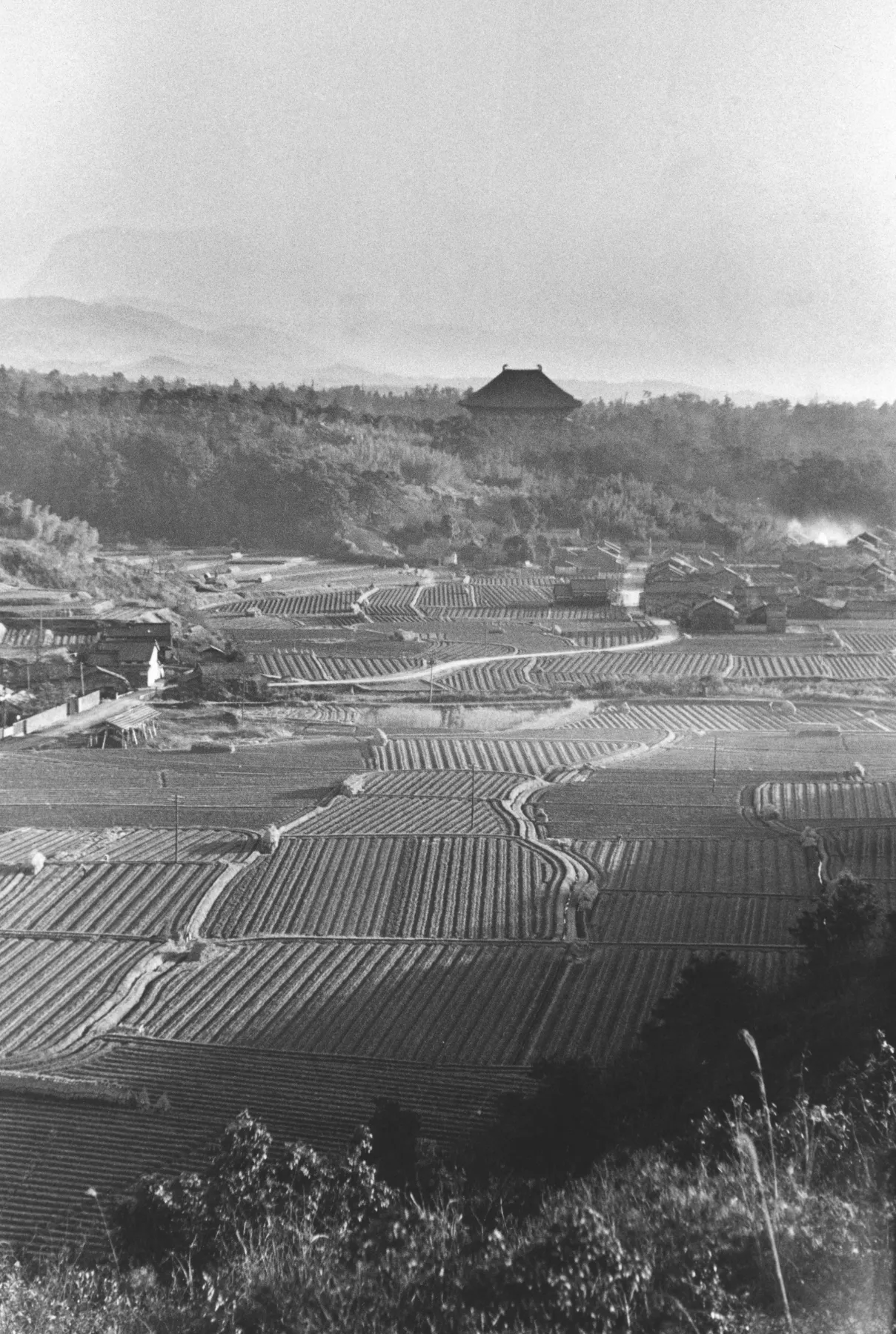 入江泰吉記念奈良市写真美術館
