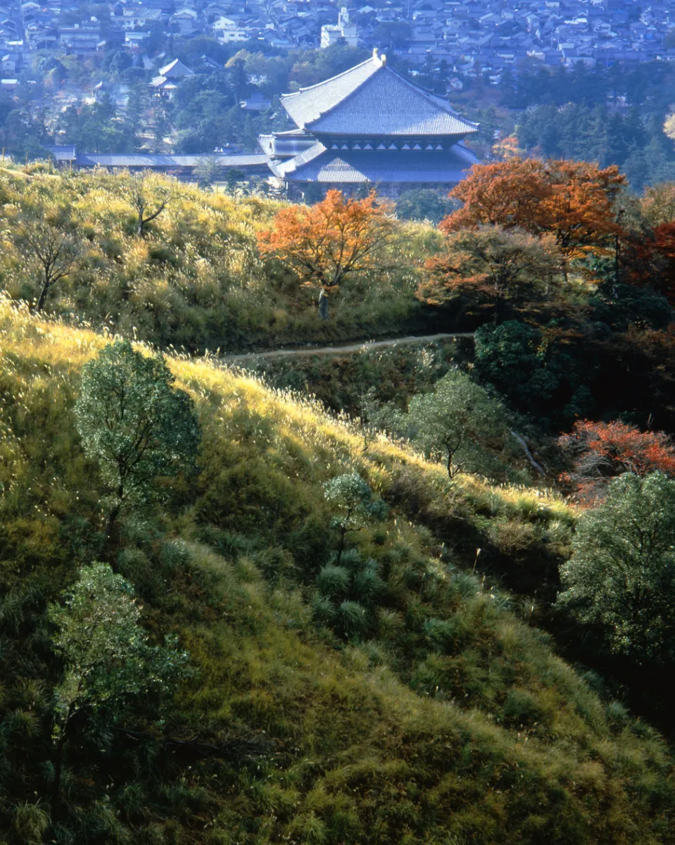 入江泰吉記念奈良市写真美術館
