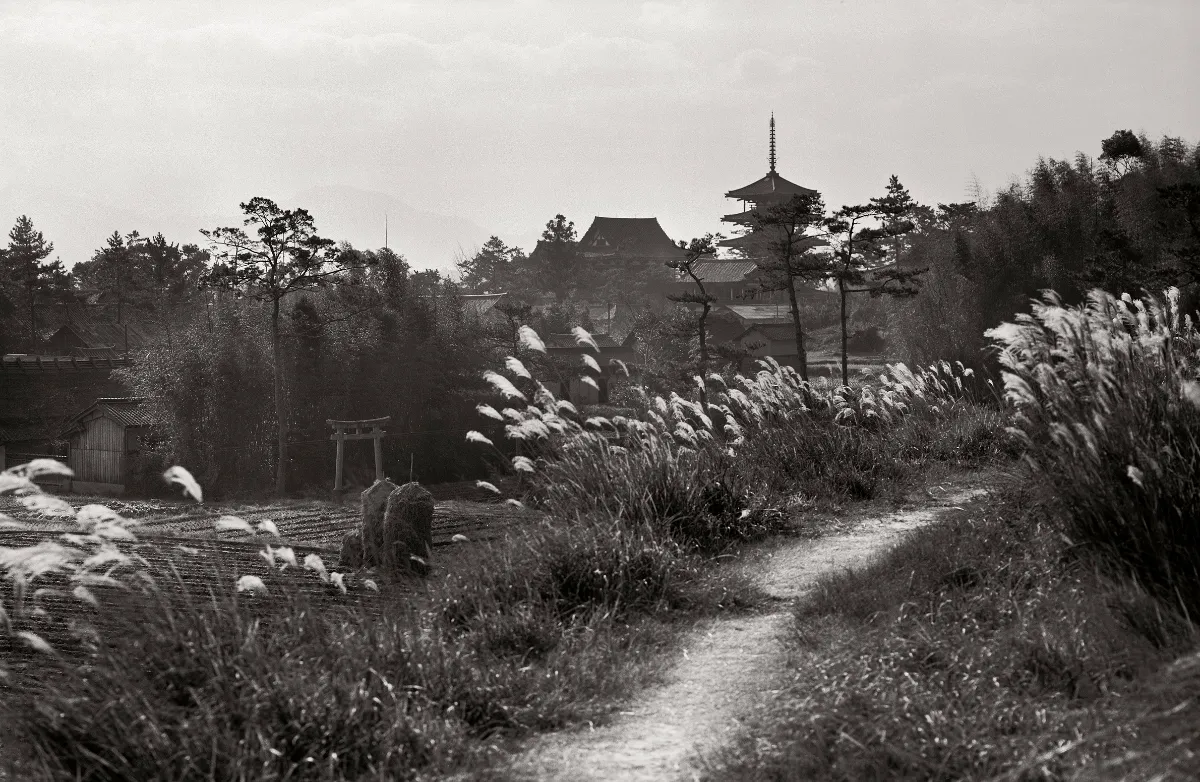 古色大和路 肌寒く 入江泰吉の心象風景/入江泰吉【写真】,入江泰