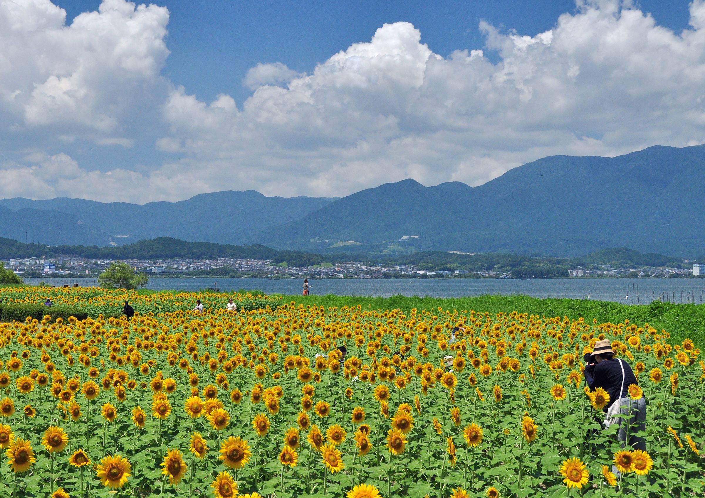 入江泰吉記念奈良市写真美術館