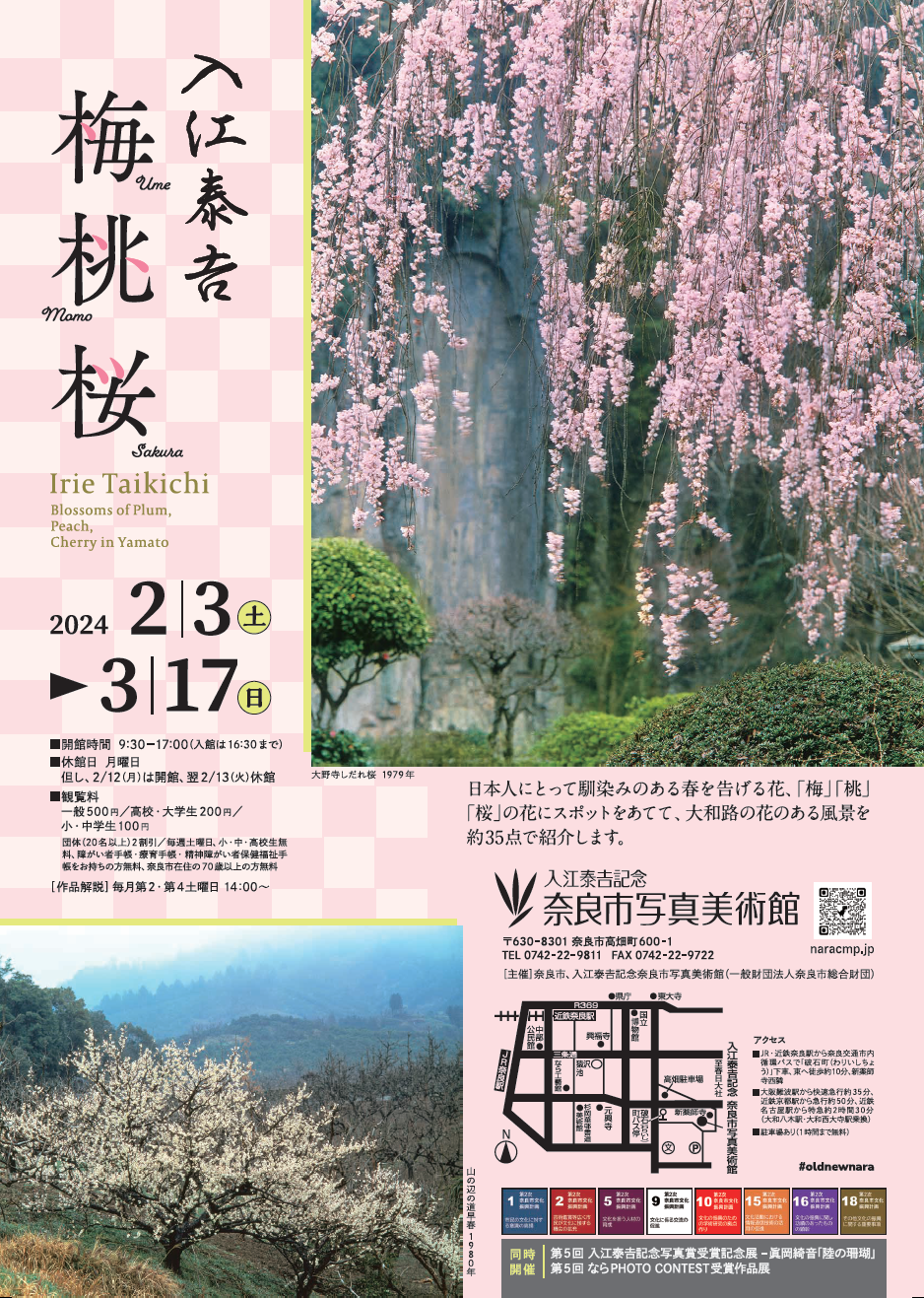 入江泰吉「梅・桃・桜」展