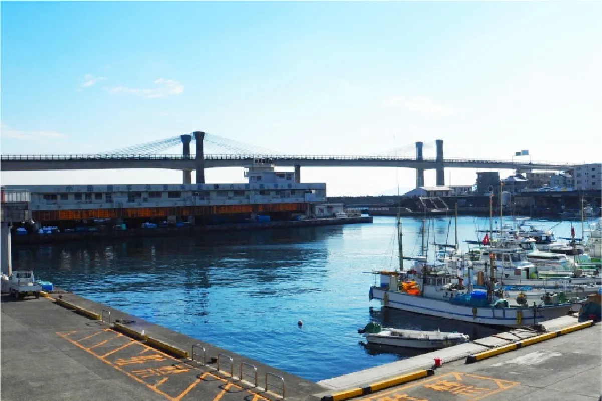 小田原漁港の様子