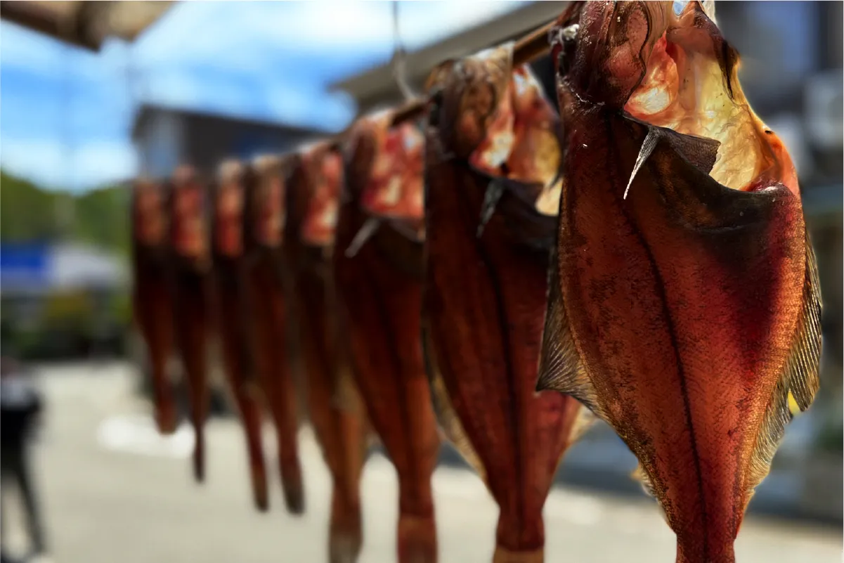 日本の干物のイメージ