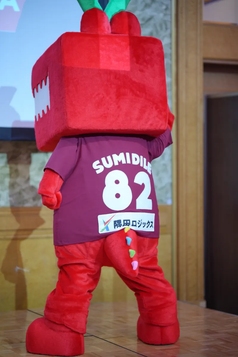 スミダイル ユニフォームスポンサー決定 | フウガドールすみだ