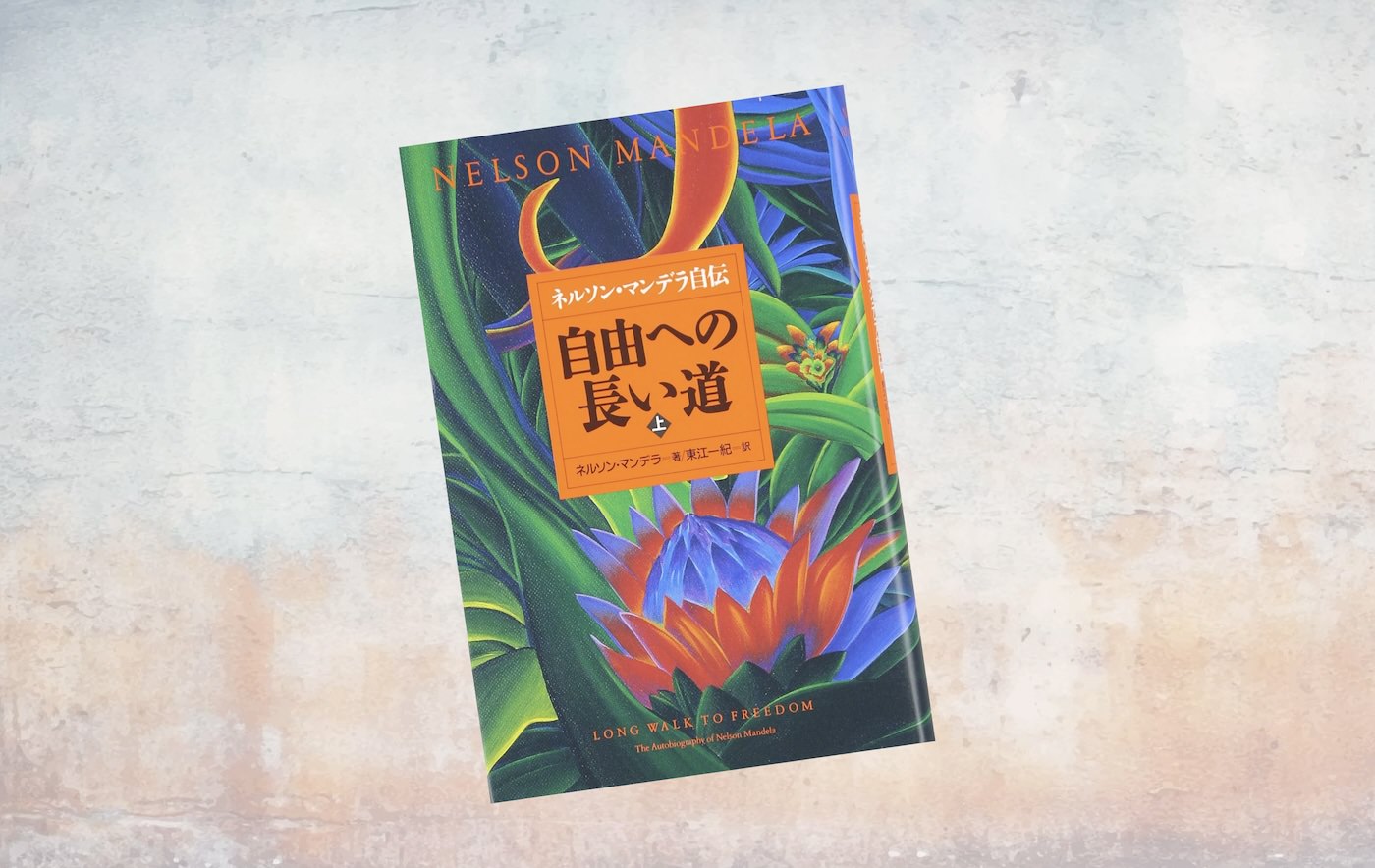 要約マップ】『自由への長い道』を図解してわかりやすく解説し