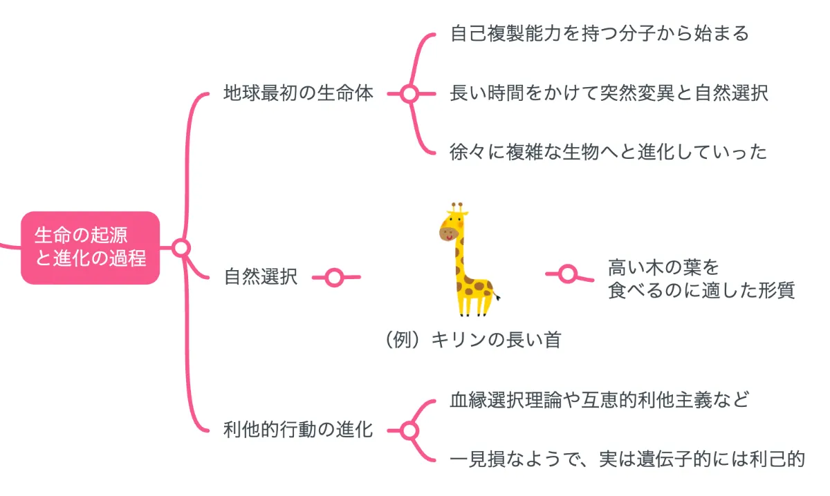 要約マップ】『利己的な遺伝子』を図解してわかりやすく解説します ｜【公式】MindMeister（マインドマイスター）