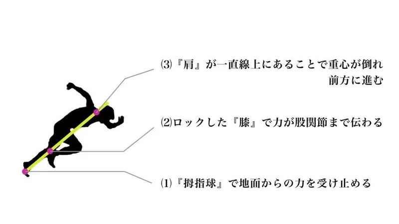 接地を強化せよ！最速のための姿勢 ”パワーポジション” とは