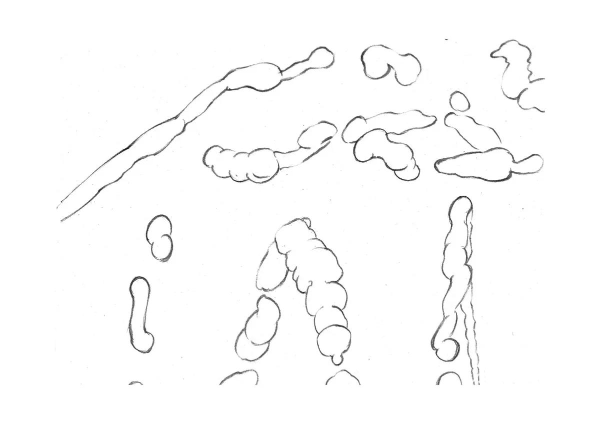 TETSUYA NAGATO 【水面】 肉質画