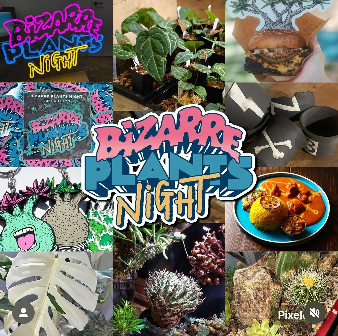 GREEN PRICKLE（グリーンプリックル） | ビザールプランツアート制作所