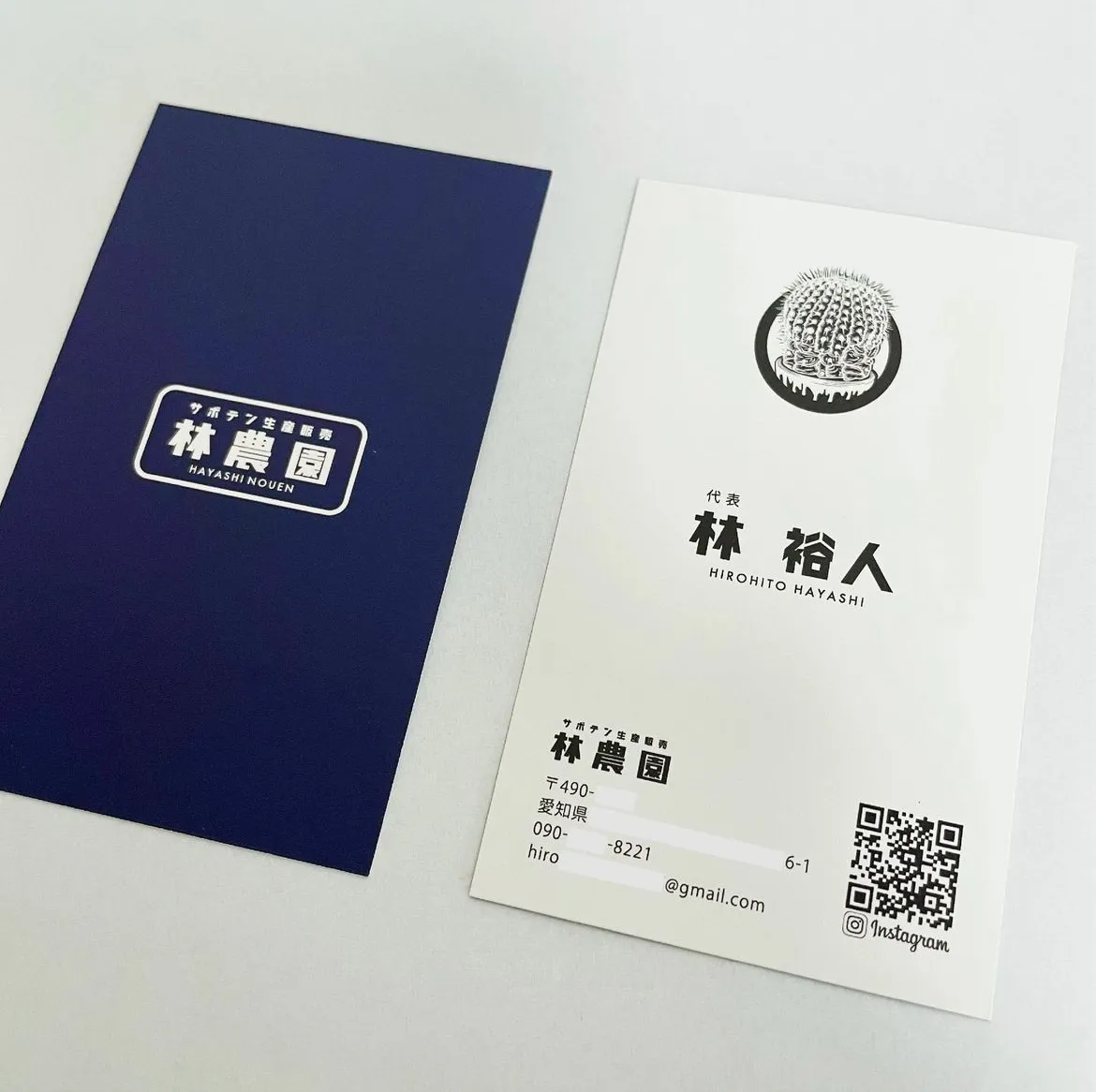 ☆未使用品☆アルバートクーツィール 植物のシルエットアート　絵 雑貨 OP-4 GREEN PRICKLE（グリーンプリックル） | ビザールプランツアート制作所