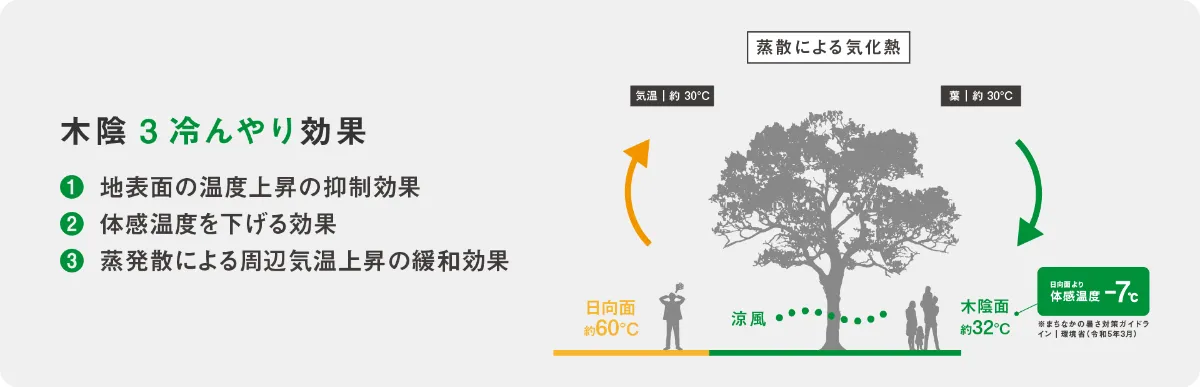 神戸緑縁|こうべ木陰プロジェクト