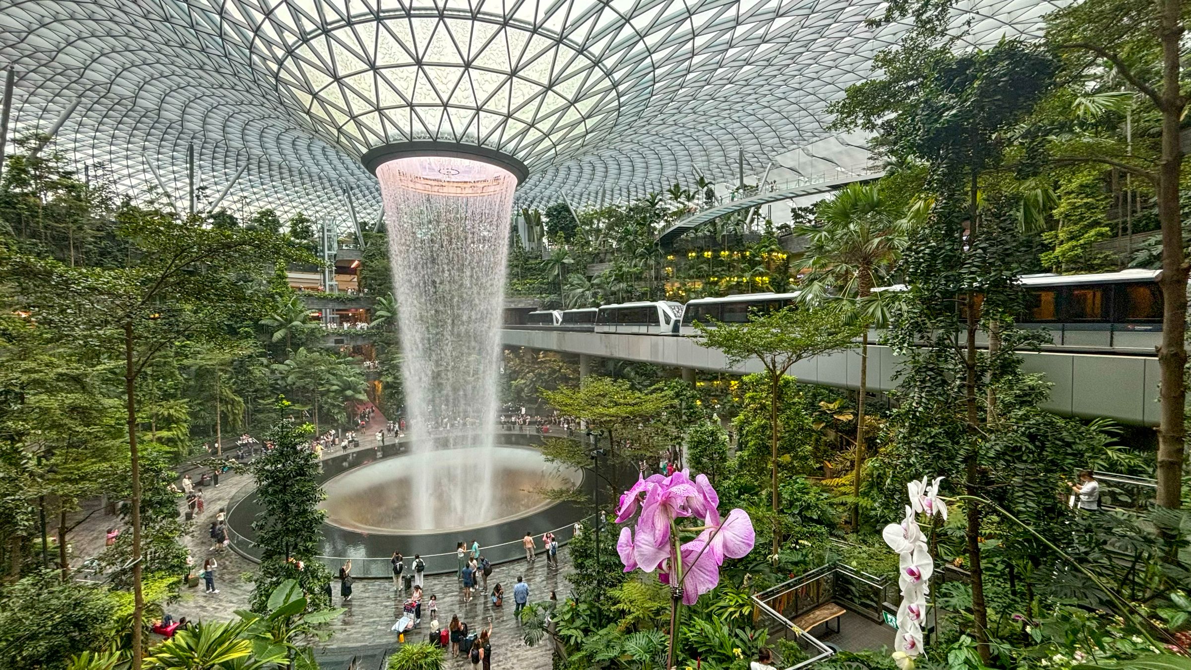 神戸緑縁|神戸都市緑化国際フォーラム 神戸緑縁|神戸都市緑化国際フォーラム