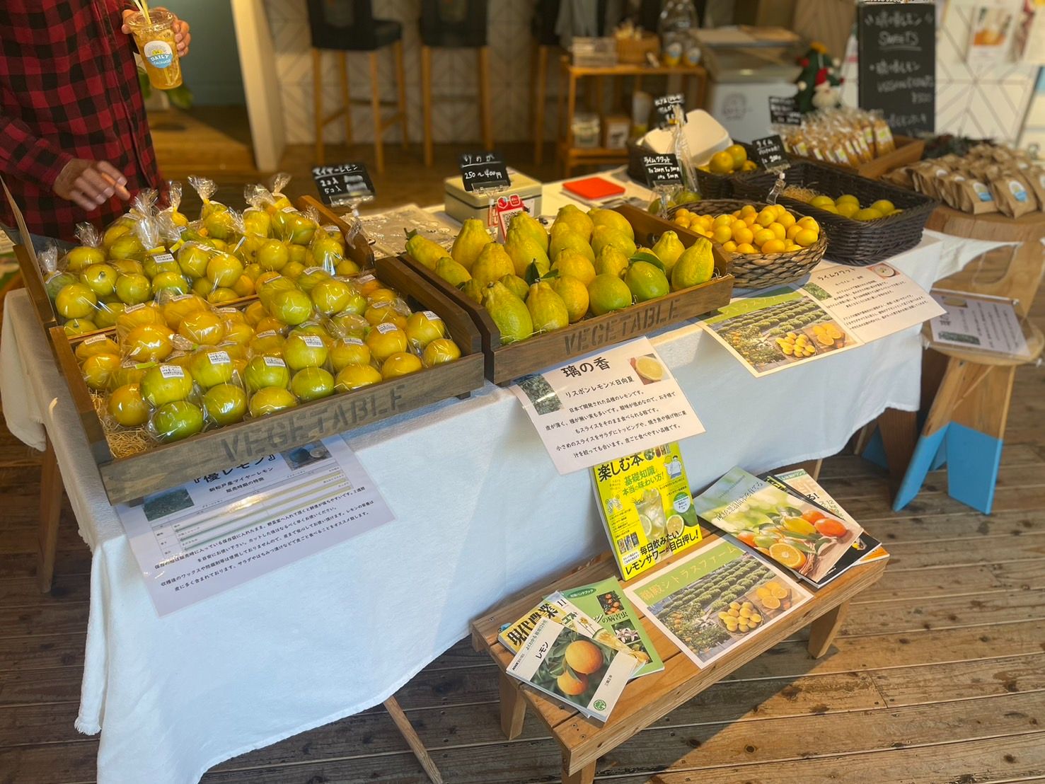 食べるレモネード | DailySurf(デイリーサーフ) | 松戸