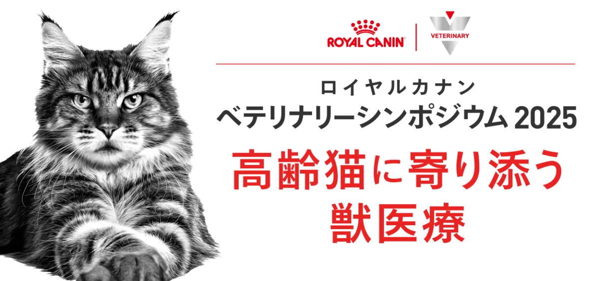 獣医臨床に必要なコミュニケーション 獣医臨床に必要なコミュニケーション/カレン・K.コーネル(著者