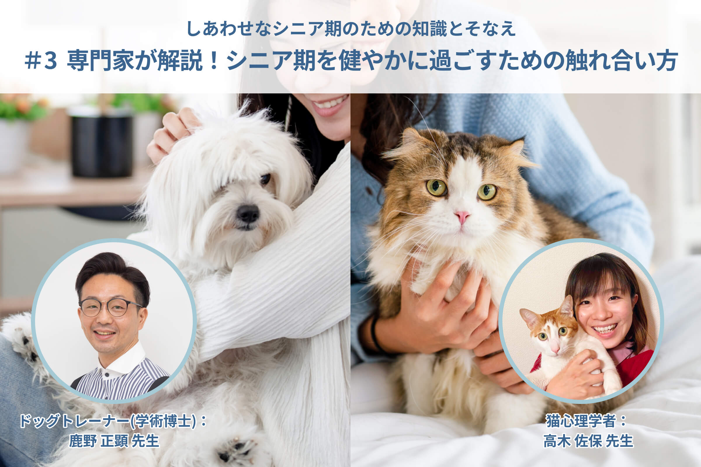 いぬとねこ シニアのそなえプロジェクト