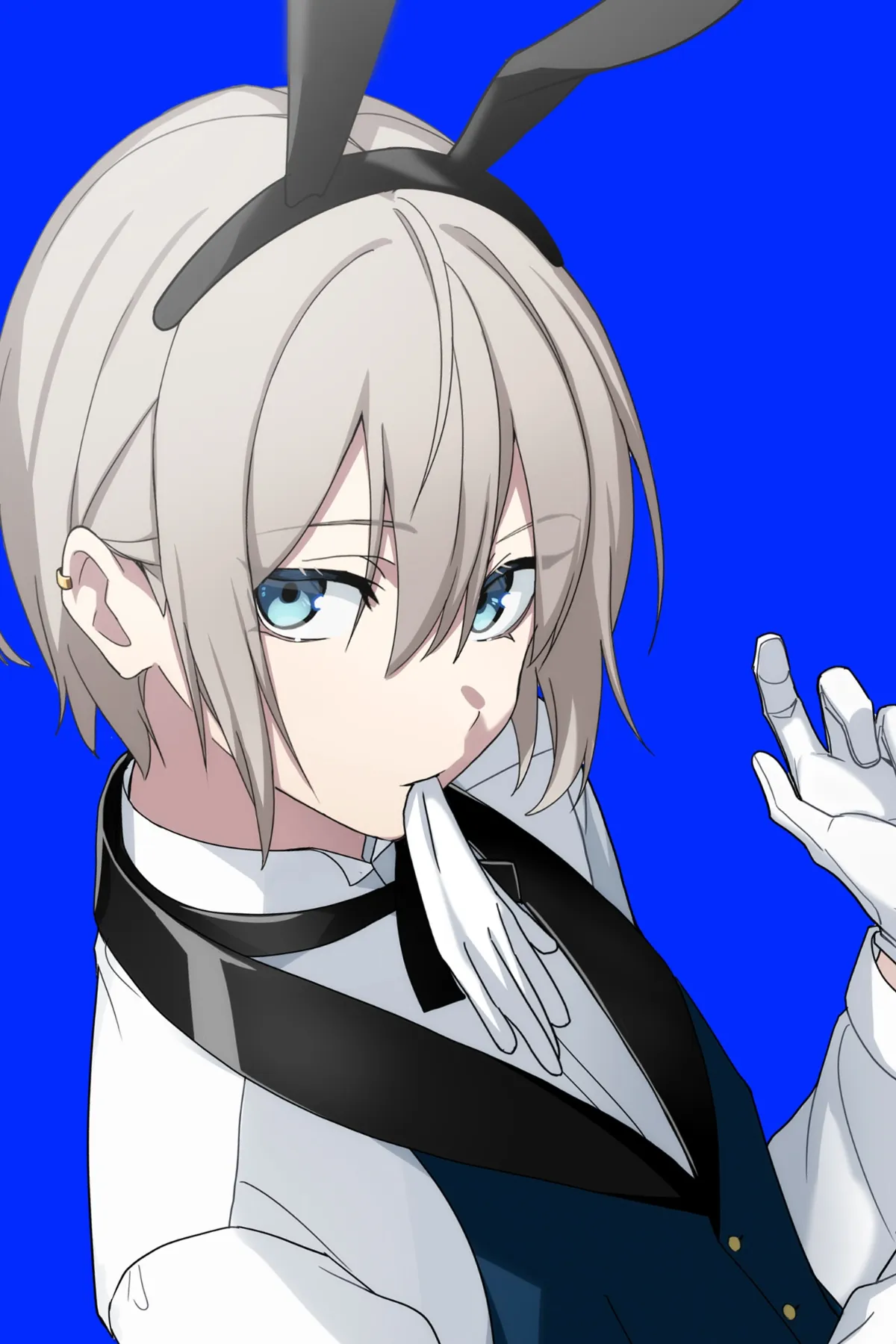 青猫 - 株式会社プライマリーフィールド