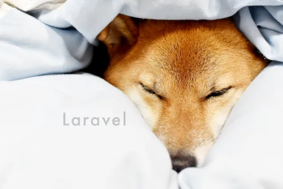 Laravelを拡張して、使用したコネクションに対して自動的にトランザクションを張るようにする