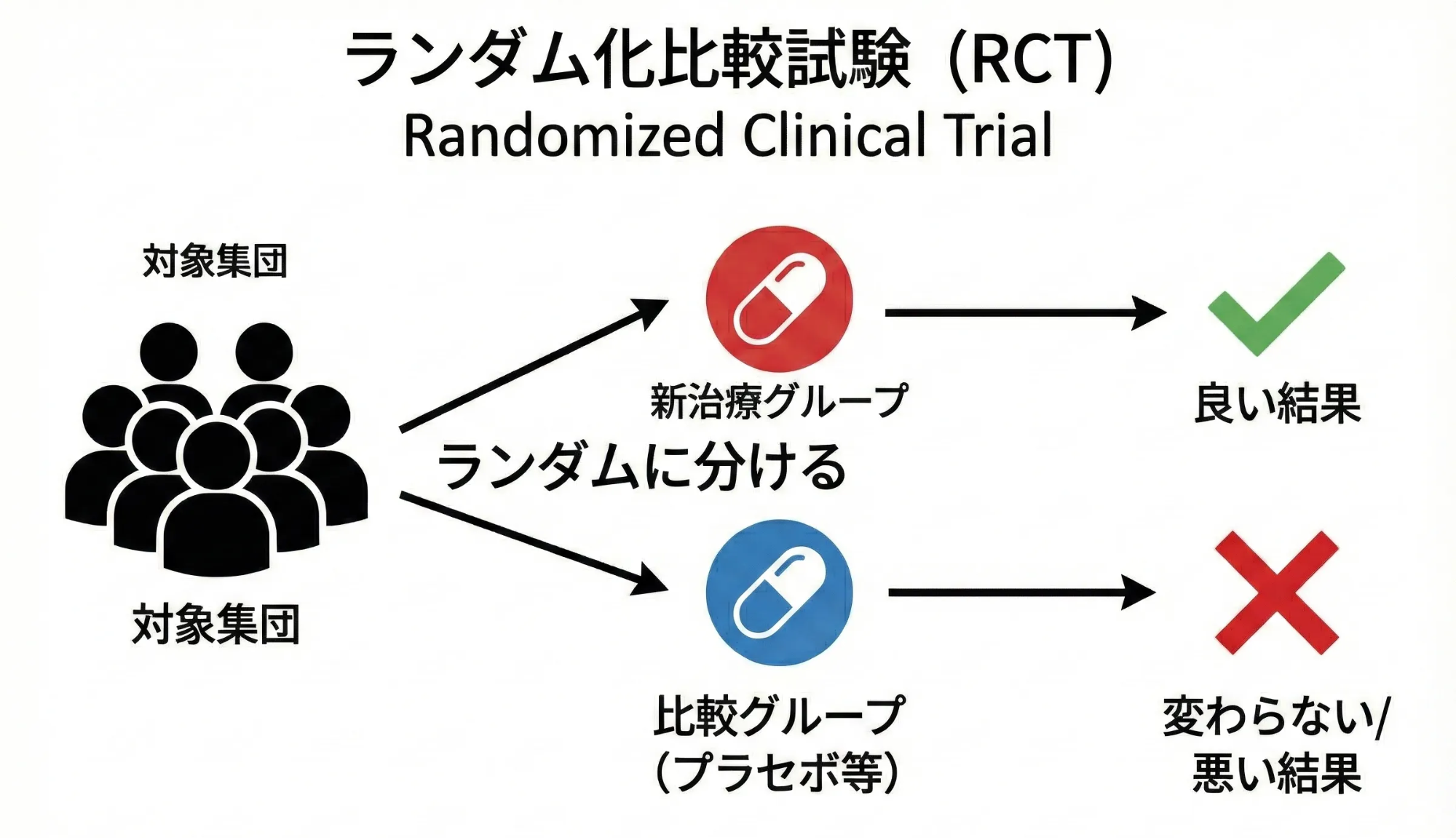 「ランダム化比較試験（RCT）」