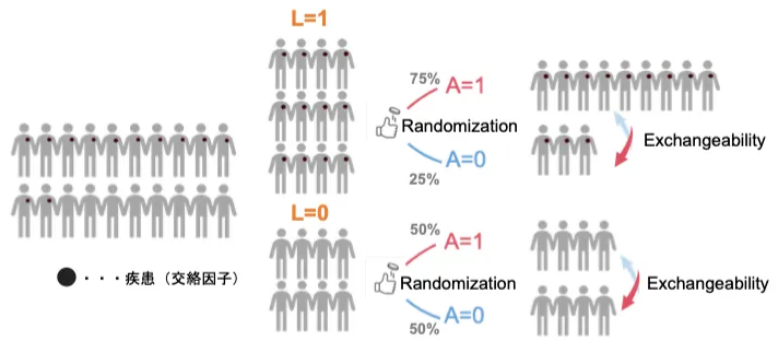 交絡因子による層別化
