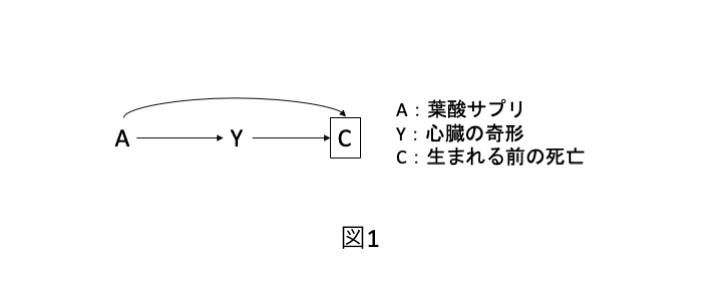 「妊娠初期の葉酸サプリメント摂取（A）」が、「赤ちゃんの心臓の奇形（Y）」のリスクを減らす効果があるのか