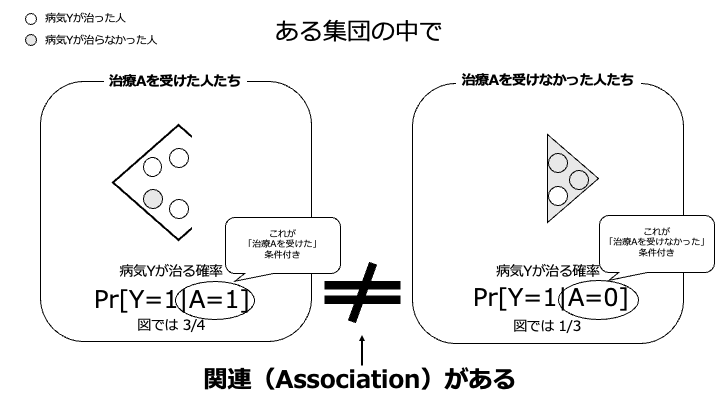 Association（関連）