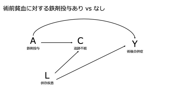 DAGで示した術前貧血における錠剤投与について