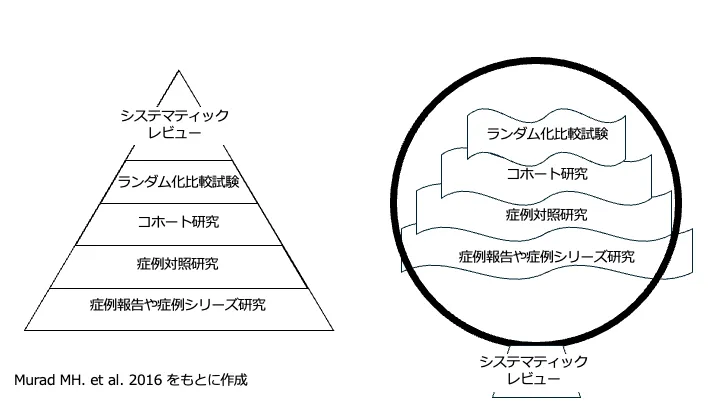 疫学専門家監修】Exchangeability（交換可能性）を徹底解説